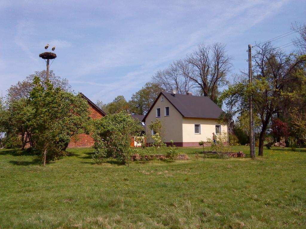 Ferienwohnung Am Storchennest Schmogrow 外观 照片